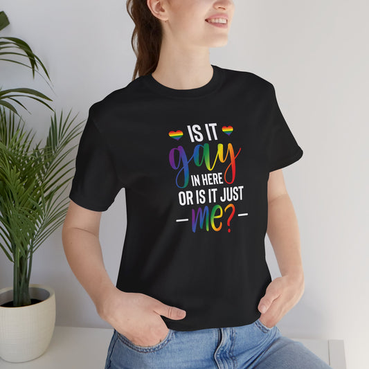 Gay Pride T-Shirt - "Is It Gay In Here Or Is It Just Me?" Rainbow Tee