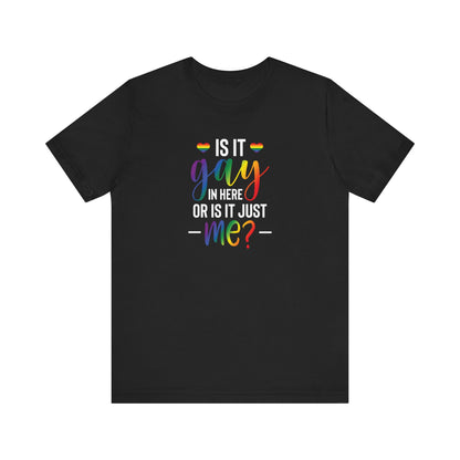 Gay Pride T-Shirt - "Is It Gay In Here Or Is It Just Me?" Rainbow Tee